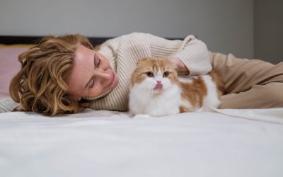 8 Simple Ways To Respect Your Cat